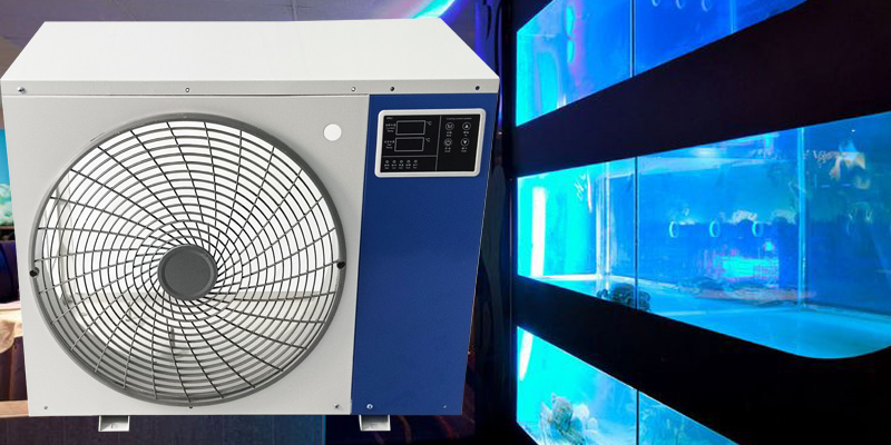 Thermostatic Water Chiller